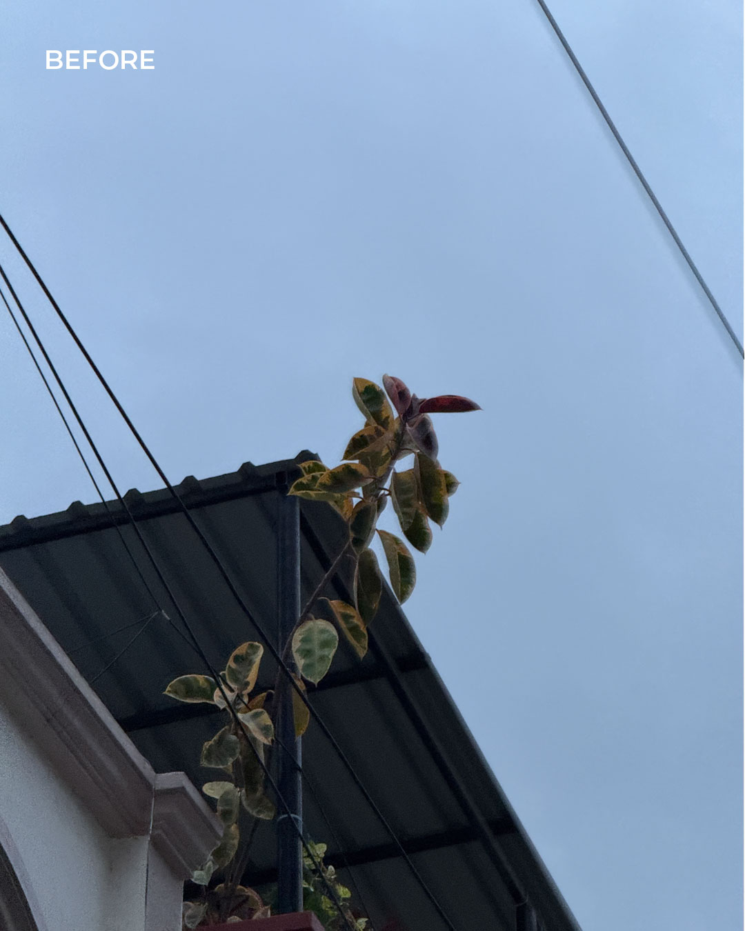 Urban Minimal — before